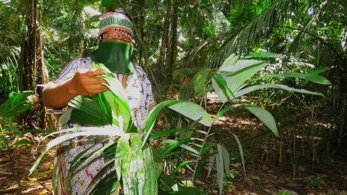 Perú: la Iglesia pide al Gobierno  estrategias para la Amazonía