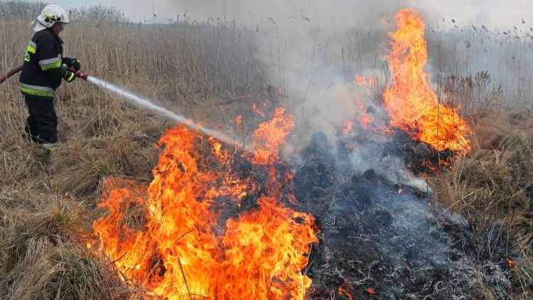 Focos de incêndio sendo apagados no Parque Nacional de Biebrza, na Polônia