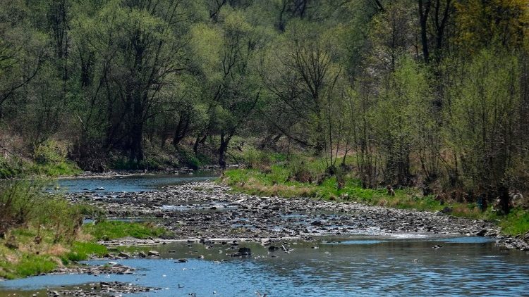 Le très bas niveau de la rivière Sola à Zywiec en Silésie dans la région montagneuse des Beskides, le 22 avril 2020. 