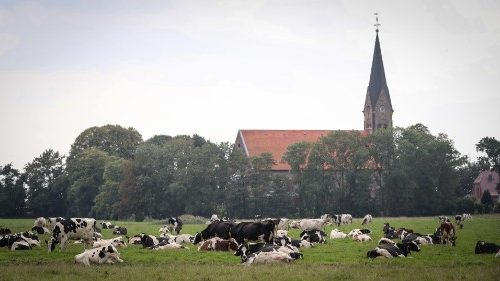 Erzbischof Schick: Kirche wird Ballast abwerfen