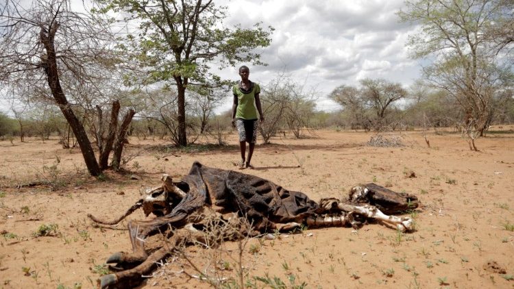 Severe drought hits Zimbabwe