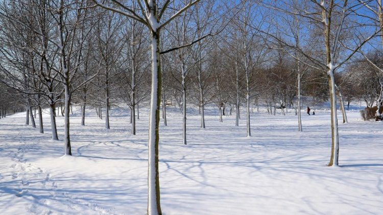 Schneelandschaft im März in Rumänien