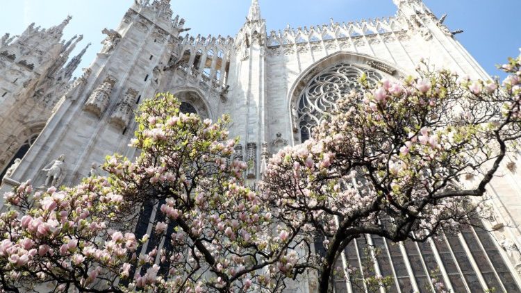 Tavaszi virágzás a milánói dóm előtt