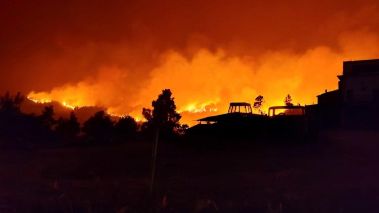 Arcybiskup Aten: pożary w Grecji pokazują, jak ważna jest dziś ekologia 