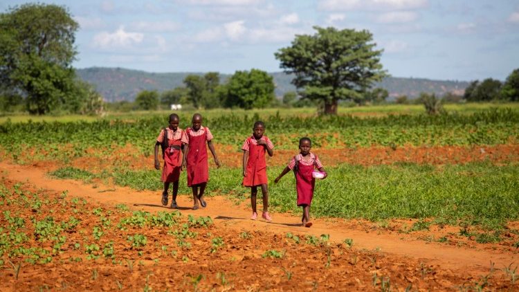Hoy, la OIT revela que 112 millones de niños que trabajan en la agricultura están sometidos a diversas formas de esclavitud