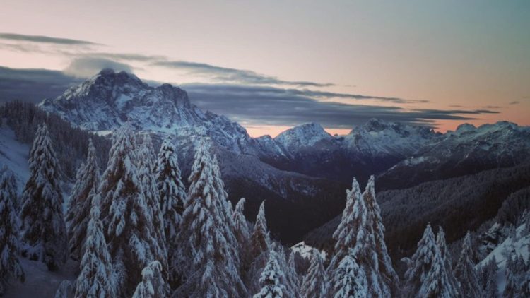 Hószagú fenyőfa érkezik a Dolomitokból az első havazás után   