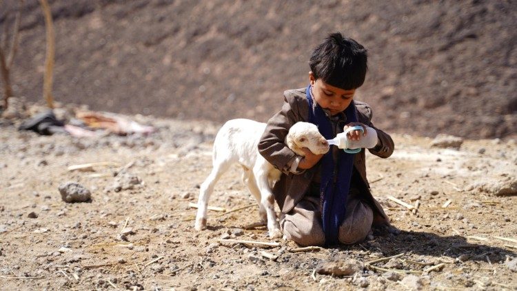 Ein vertriebenes Kind gibt in der Nähe der Stadt Marib einem Schäfchen etwas zu essen