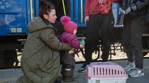 Ruf nach humanitären Korridoren für Ukraine-Flüchtlinge