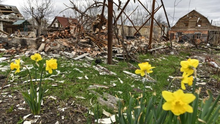 Ukraine: Blumen vor Kriegsszenerie