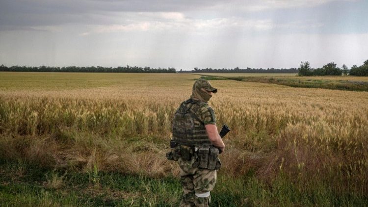 Plantação de trigo em área de guerra na Ucrânia