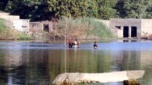 Pakistan: Pfarrgemeinde versucht Elend in Flutregion zu lindern