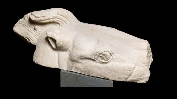 Jeden z fragmentów dekoracji Partenonu przekazany przez Papieża z powrotem Atenom, głowa konia z kwadrygi bogini Ateny