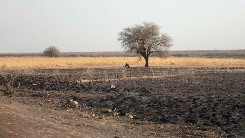 Um homem se abriga do sol alto sob uma rvore entre a cidade de Renk e a fronteira de Joda, Sud?o do Sul, 11 de maio de 2023. EPA/AMEL PAIN