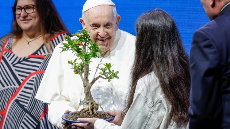 A bonsai fa szimbólum: a jövő gyümölcsét termi