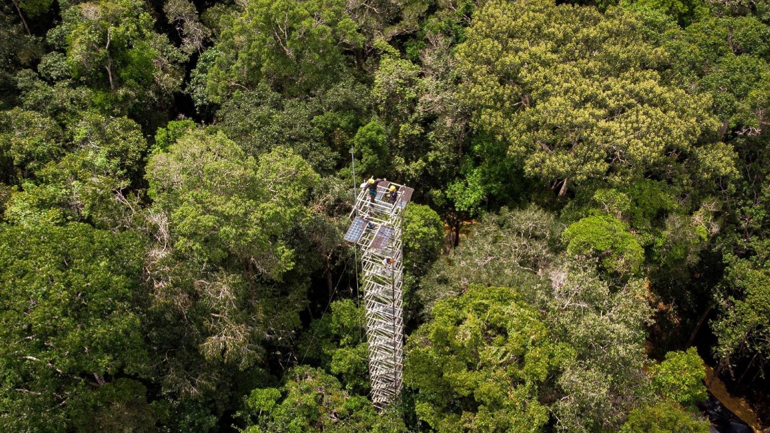 AMAZÔNIA NA CUIA, Belem - Menu, Prices & Restaurant Reviews