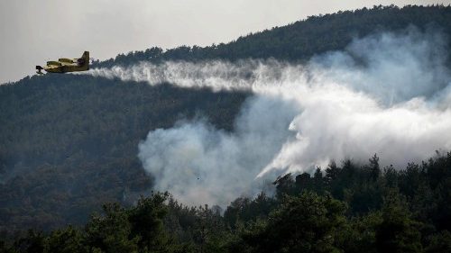 MAP Francis prays for victims of fires in Greece and suffering Ukraine