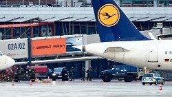 1699194164705.jpg