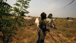 a-fulani-shepherd-stands-at-the-boundary-of-a-1545217746085.JPG