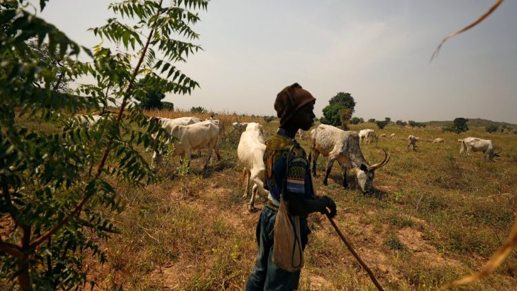 Ein Fulani-Hirte auf einer Weide in Nigeria