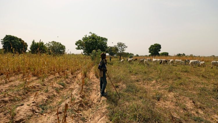 Pastiri naroda Fulbe u Nigeriji