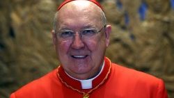 file-photo--new-cardinal-kevin-farrell-of-the-1550152225613.JPG