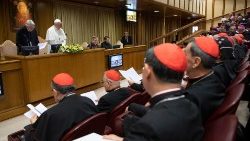 pope-francis-attends-the-four-day-meeting-on--1550753691005.JPG