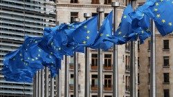 eu-flags-fly-outside-the-european-commission--1551863756520.JPG