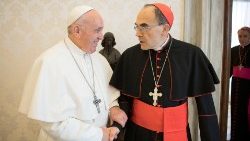 pope-francis-receives-cardinal-philippe-barba-1552920547421.JPG