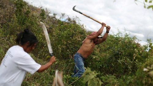 Brasilien: Gewalt um Landkonflikte spitzt sich zu 