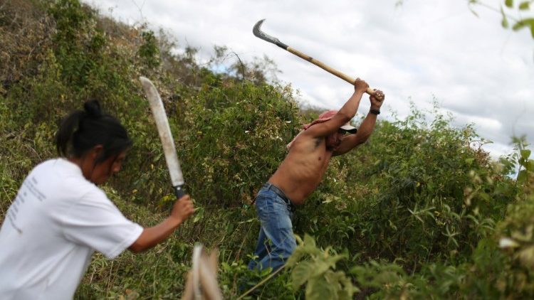Brasilien: Indigene bei der Arbeit auf  einer Plantage