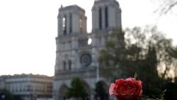 a-rose-placed-near-notre-dame-cathedral-is-pi-1555486788912.JPG