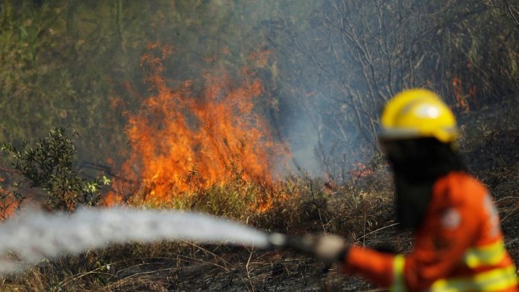 Un pompier lutte contre les flammes au Brésil - 21 août 2019