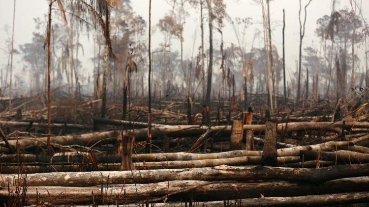 Пoжари во амазонските прашуми
