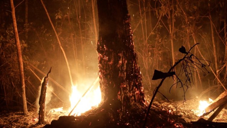 Incendies en Amazonie, près de Porto Velho