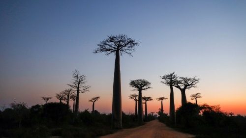 V pripravi na apostolsko potovanje: Prizorišča na Madagaskarju