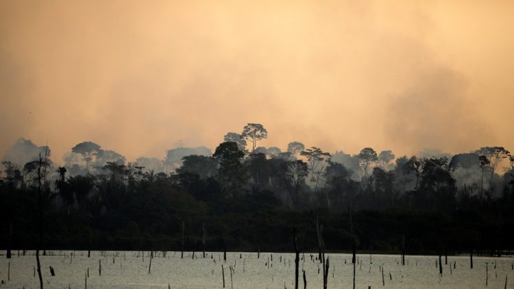 Feuer über dem Amazonas
