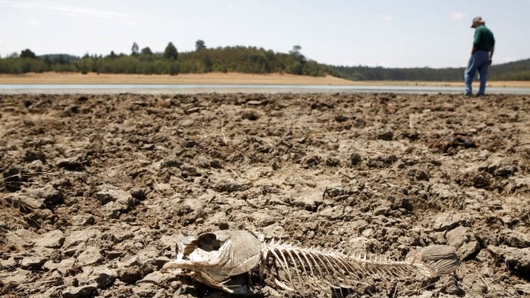 FILE PHOTO: A skeleton of a fish is seen on the dry bed of Lake Penuelas on the outskirts of Valparaiso