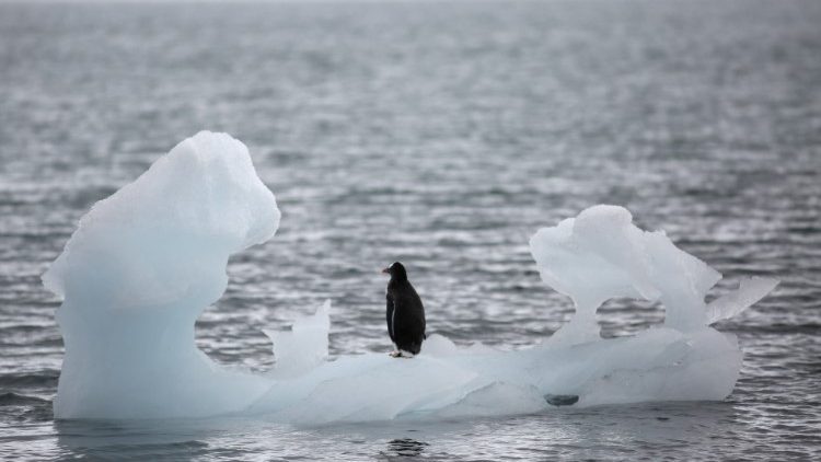 Ledāju kušana antarktīdā