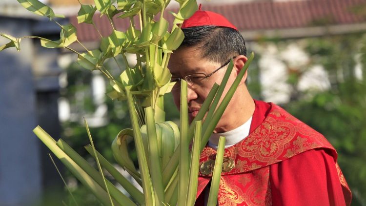 Kardinal Tagle hat als Kind einige seiner wichtigsten katechetischen Lektionen unter einem Baum gelernt