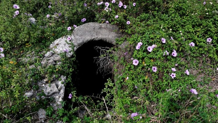 The Wider Image: From tool of war to photo op, Taiwanese repurpose old bunkers