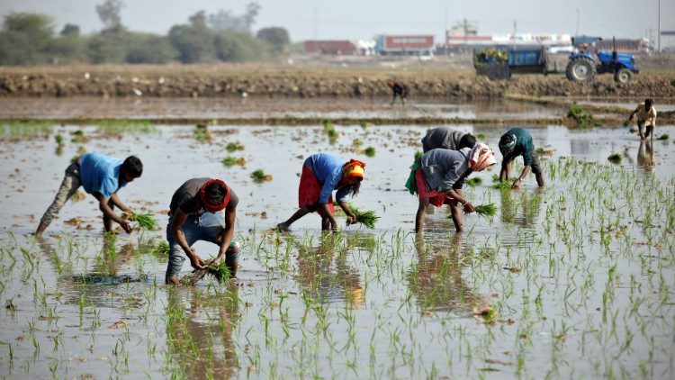 Lavoratori agricoli in India