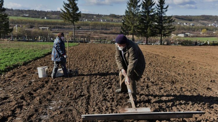 Des fermiers ukrainiens labourent la terre à Zolochiv, dans la province de Lviv, le 10 avril 2020. 