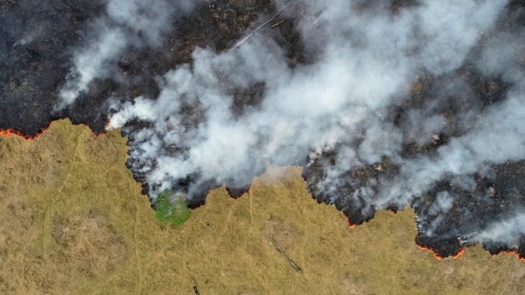 Пажар у лясах Амазоніі. Ілюстрацыйнае фота