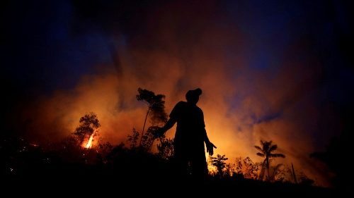 Brasilien: Wälder brennen weiterhin
