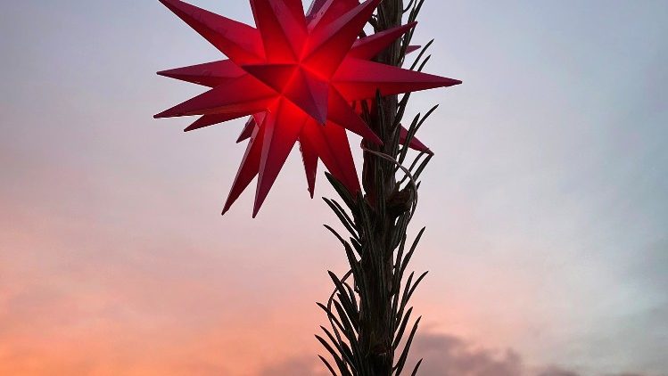 Ein Stern krönt einen Christbaum in Seeheim-Jugenheim