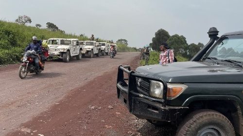 L'attentato in Congo, il Vis: "Attanasio portava il suo aiuto"