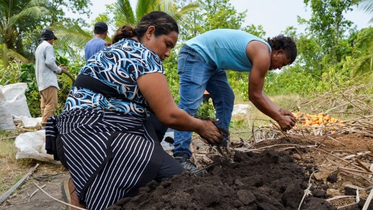 Einheimische in Mexiko unterstützen ein Aufforstungsprogramm - in Jalisco passiert das Gegenteil