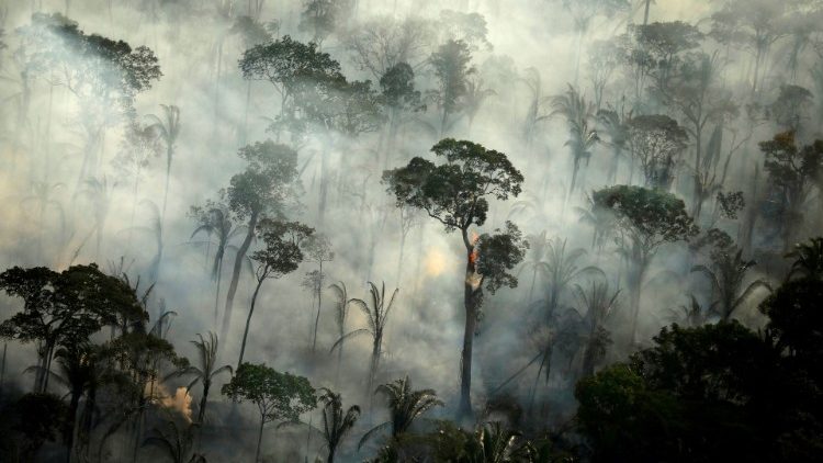 El humo invade la selva tras un vasto incendio la amazonia brasileña