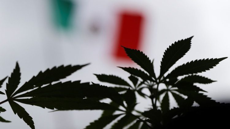 Manifestantes marchan a favor de la despenalización del cannabis en Ciudad de México