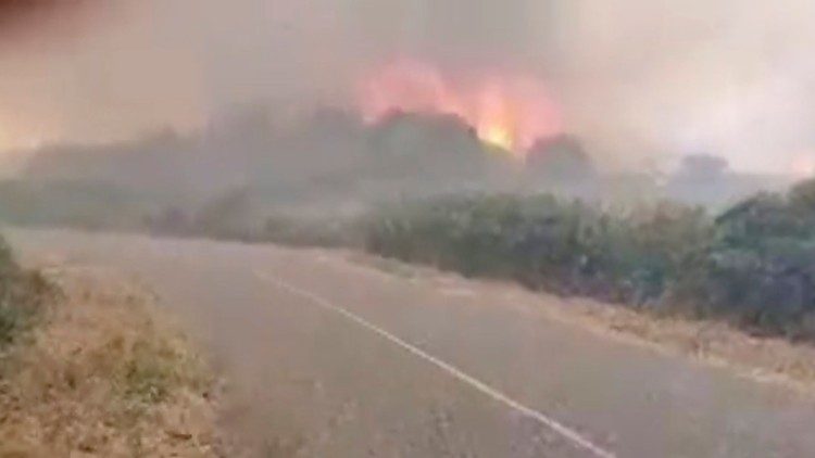 सर्देनिया में विनाशकारी आग 